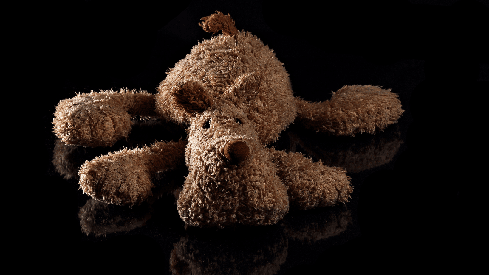 Best Chew Toys For Shih Tzus Shih Tzu Boss