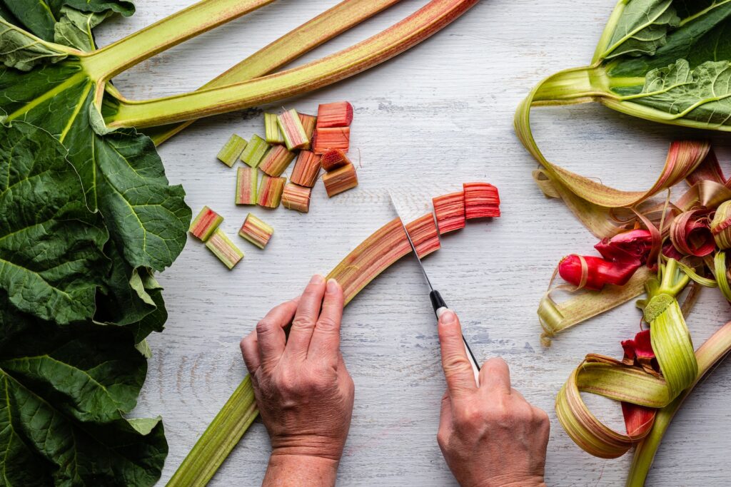 person holding red and yellow rhubarb